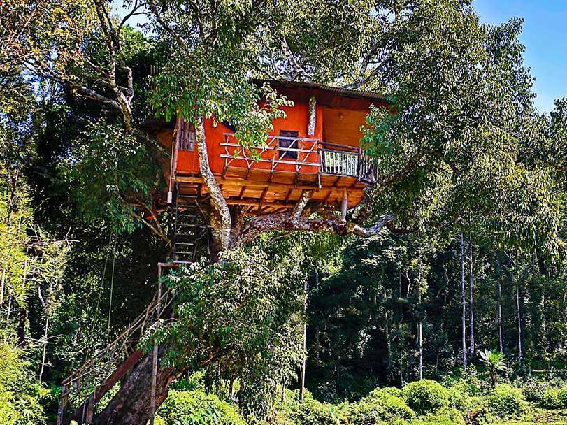Elephant Valley Eco Farm Hotel Kodaikanal Exterior foto